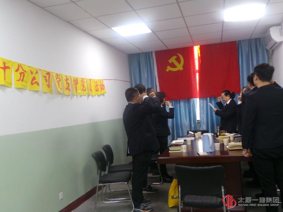 十分公司黨支部組織開展黨日活動(dòng)
