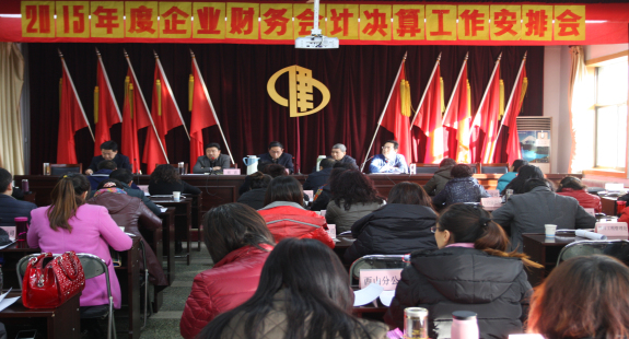 集團(tuán)公司召開(kāi)2015年度財(cái)務(wù)決算安排會(huì)議